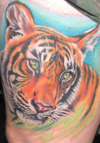 tattoos tigers. Tiger Full Body Tattoo Shirt